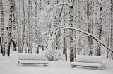 Fototapeta Natura - Benches in fluffy fresh snow on a frosty winter day