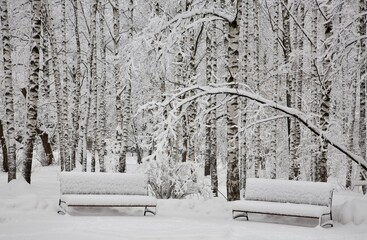 Wall Mural - Benches in fluffy fresh snow on a frosty winter day