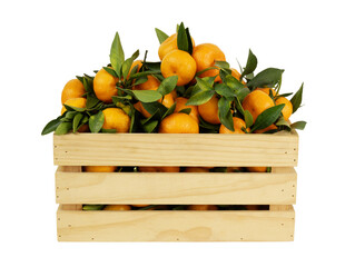 Wall Mural - Tangerines with green leaves in wooden crate isolated on white background.