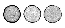 Set Vector Illustration Of Round Tree Trunk Cuts, Sawn Pine Or Oak Slices, Lumber. Saw Cut Timber, Wood. Wooden Texture With Tree Rings. Hand Drawn Sketch Isolated On White Background