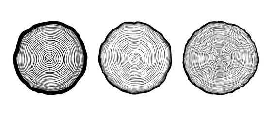 set vector illustration of round tree trunk cuts, sawn pine or oak slices, lumber. Saw cut timber, wood. Wooden texture with tree rings. Hand drawn sketch isolated on white background
