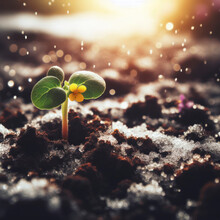 young sprout growing in the soil with little blooming flower, ground with snow. ai generative