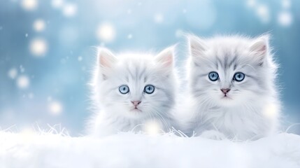 Wall Mural - Winter background kittens frame art with space for text, background image, AI generated