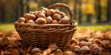 Autumn Chestnuts Images,Basket With Nuts On Green Grass.AI Generative 