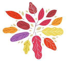 Yellow and red autumn leaves beauty of nature vector flat illustration isolated on white background, fall foliage drawing composition.