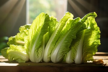 Wall Mural - A Fresh Bunch of Endive Lettuce on a Rustic Wooden Table, Illuminated by the Soft Morning Light Coming Through a Nearby Window