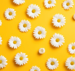 Canvas Print - a yellow background with white daisies