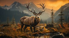 A Majestic Caribou Stands Tall And Proud, With The Rising Sun Casting A Warm Glow On Its Strong