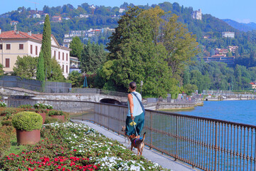 Wall Mural - donna con cani sul lago di como in italia, women with dogs on the lake of como in italia 