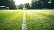 © Stavros's son - Lush green lawn grass with white line marking at new large football stadium closeup