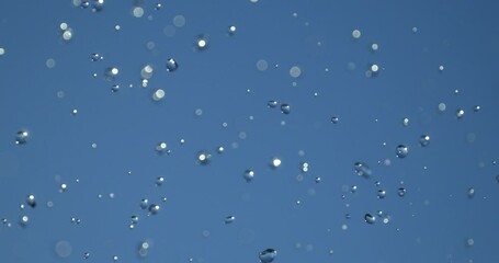 Wall Mural - slow motion macro of floating micro particles molecules in liquid are analyzed with microscope by ch