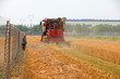 Farmers use harvesters to harvest wheat in the fields, North China