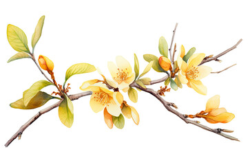 Wall Mural - Watercolor of Tropical spring floral green leaves and flowers elements isolated on transparent png background, bouquets greeting or wedding card decoration.