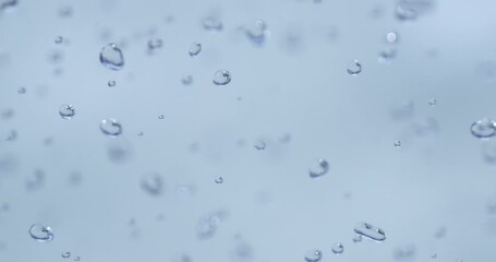 Wall Mural - slow motion macro of floating micro particles molecules in liquid are analyzed with microscope by ch