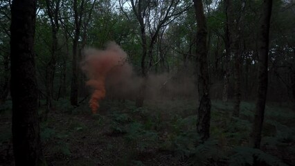 Big plumes of orange smoking pouring out into thick dense eerie forest with bare trees