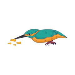 bird eating illustration