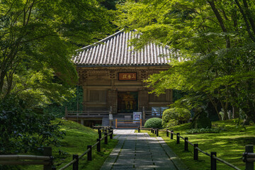 Wall Mural - 宮城松島 円通院 初夏の三慧殿