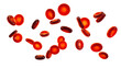 Group of red blood cells isolated. Blood cells (erythrocytes) carry oxygen to all body tissues.