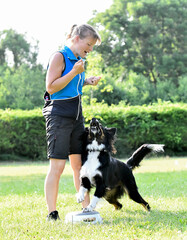 Canvas Print - obedience training with a border collie