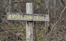 Overlook Trail Sign On Wooden Post On A Hiking Trail In Rosendale New York (hudson Valley, Rondout Creek, Wallkill Valley) Direction, Marking