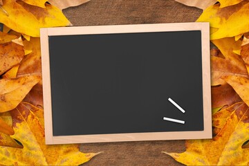 Wall Mural - Blank school board with autumn leaf