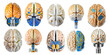 Android electronic brains collection isolated on transparent background.