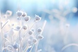 Fototapeta Natura - A winter scenery capturing frosty ice flowers, snow, and crystals.