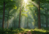 Fototapeta Las - Summer Green dense forest, rays of sunlight seeping through the foliage