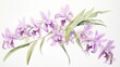 Watercolor Artwork of Dendrobium Spectabile on White Background AI Generated