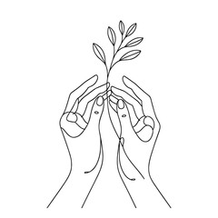 Wall Mural - line drawing of hands gently holding a sapling. concept of growth, care, and environmental conservat