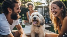 A group of people enjoying quality time with their playful dog.