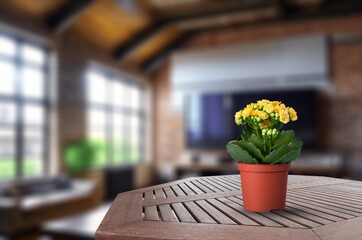 Sticker - Wooden table with houseplant in living room