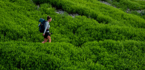 Poster - Woman Hiker Crosses Through Bright Green Bushes