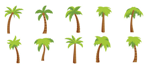 Set of Palm Tree Illustration