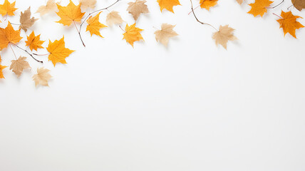 Wall Mural - maple leaves on a white background isolated frame of fallen leaves autumn blank