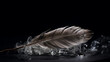 Sculpture Ice  single feather black background Generative AI