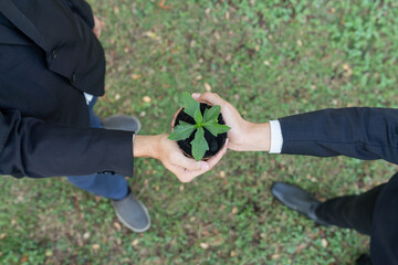 Top view business people holding plant as concept of eco company committed to corporate social responsible, reducing CO2 emission, protect susainable environment, and embrace ESG principle. Gyre