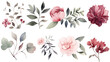 Watercolor floral illustration individual elements set  green leaves, burgundy pink peach blush white flowers, branches. Wedding invitations wallpapers fashion prints. Eucalyptus, olive, peony, rose. 