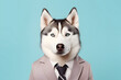 Business funny cute dog on pastel background.