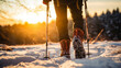 © Keitma - Close-up of shoes of a hiker walking in the snow with hiking sticks during cold winter morning in middle of beautiful nature