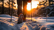 © Keitma - Close-up of shoes of a hiker walking in the snow with hiking sticks during cold winter morning in middle of beautiful nature