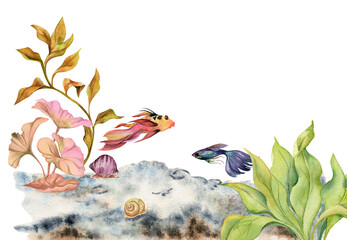 Wall Mural - Hand drawn watercolor aquarium fish, algae and sealife, snails shells. Marine exotic underwater illustration. Isolated on white background. Design for shops, brochure, print, card, wall art, textile.