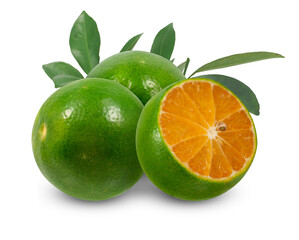 Wall Mural - Calamansi or Green orange fruits isolated on white background