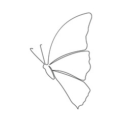 Wall Mural - 
Continuous one line  butterfly flying outline art drawing