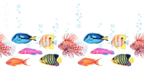 Sticker - Fish bubble seamless border. Watercolor illustration of underwater ocean life on white background. Colorful lionfish, butterfly fish and golden antias in fishtank or aquarium