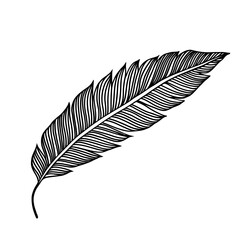 Wall Mural - leaf black icon. black tropical leaf icon isolated.