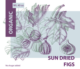 Wall Mural - Dried figs label design with fig branch