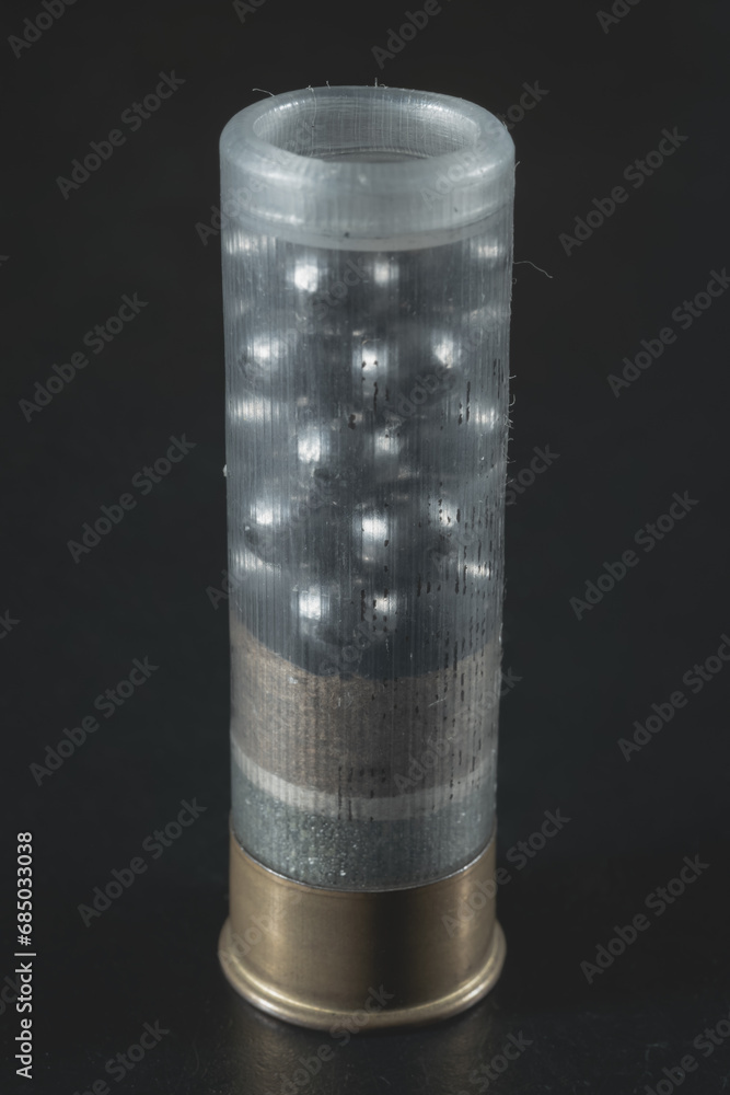 Close-up photo of a 12-gauge cartridge with a charge of buckshot, a ...
