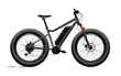 Fat Tire Electric Bike On transparent background