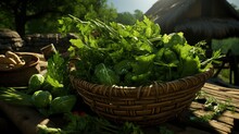 Spicy Green Herbs Ingredients Cooking Consisting , Background Images , Hd Wallpapers, Background Image